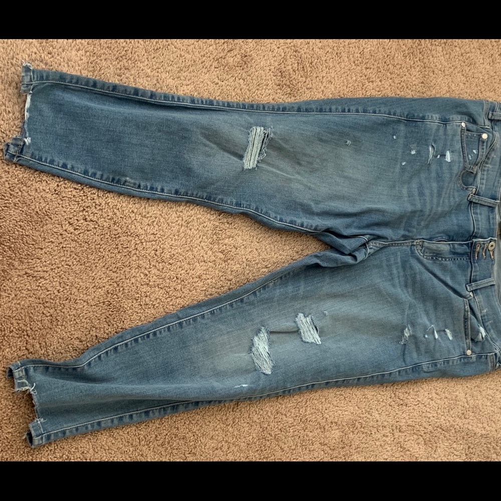 Brand new Torrid Jeggings